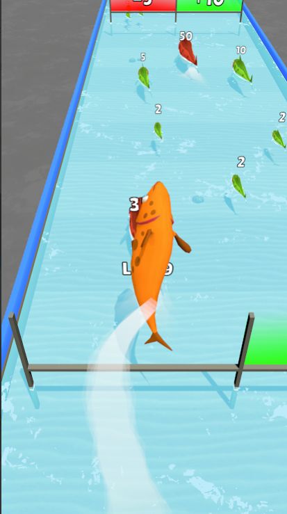 鱼类升级跑3D0