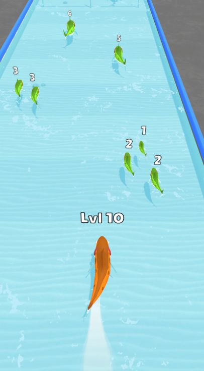 鱼类升级跑3D3