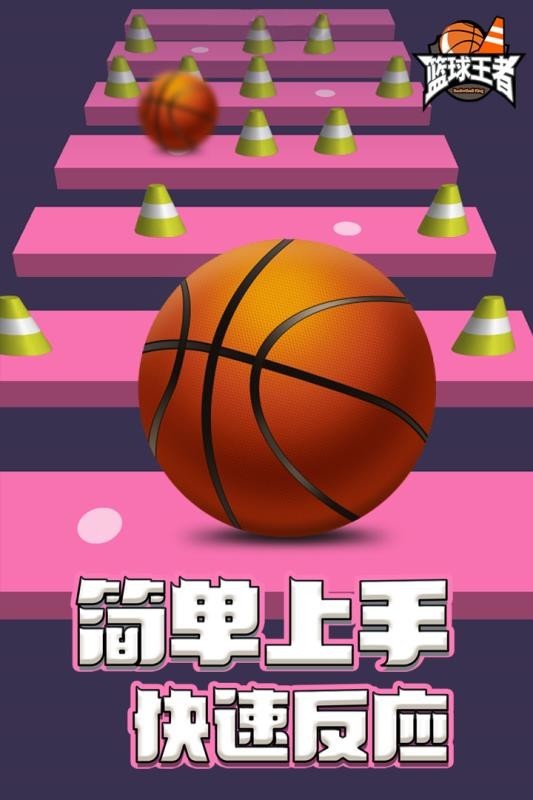 篮球王者九游版3